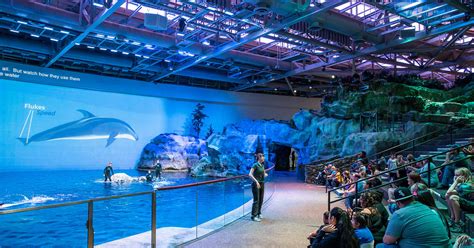 Free admission on certain days is back at the Shedd Aquarium for Illinois residents